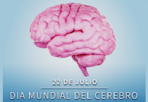 Día Mundial del Cerebro: hábitos cotidianos para proteger la mente y prevenir enfermedades