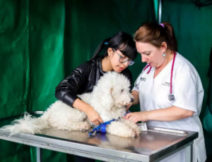 Día Mundial de la Zoonosis: una fecha para recordar que la salud humana también depende de los animales