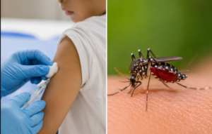 Vacunación y prevención, claves para mantener a raya el sarampión y el dengue en Jalisco